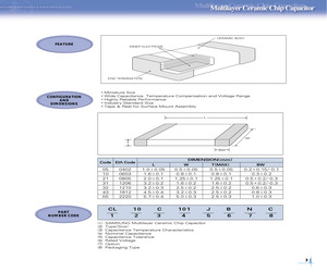 CL21C101JCND.pdf