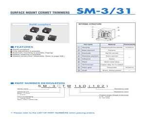 SM-31TW5KOHM(502).pdf