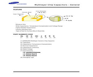 CL21C101JBAC.pdf